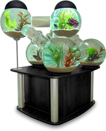 aquarium